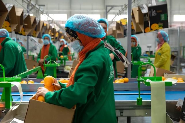 Factory, Non-oil private sector, Workers